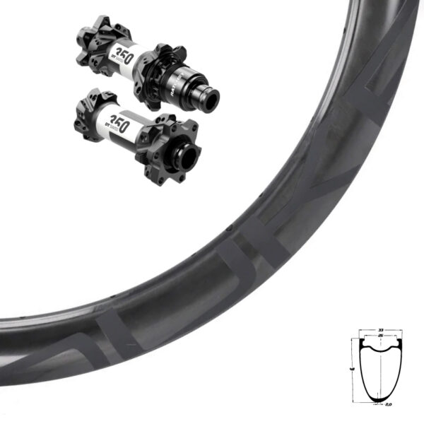 DUKE BACCARA RX 48 + DT SWISS 350 SP
